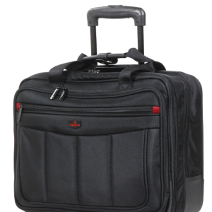 PILOT CASE DAVIDT'S MONTECARLO . "