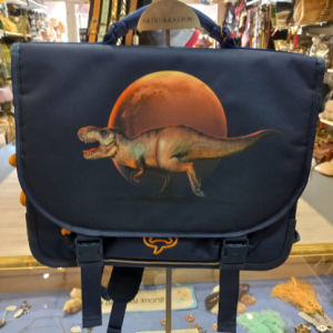 LILY PL MOONWALK  CARTABLE   COMPARTIMENTS STONES