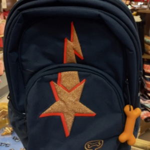 ASPEN . LIGHTNING INDIGO  SAC A DOS   COMPARTIME