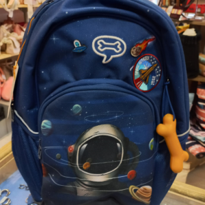 LINDEN . SPACE ELECTRIC  SAC A DOS   COMPARTIMEN