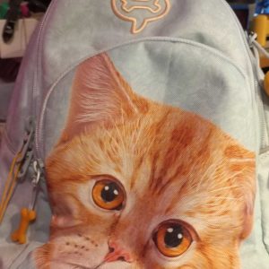 LAUREL PL CAT AQUA  SAC A DOS   COMPARTIMENT ET PO